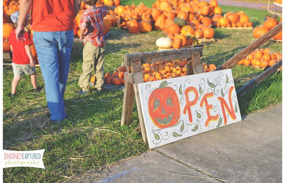 Picking Out Pumpkins | Blog - Jennifer Duke Photography