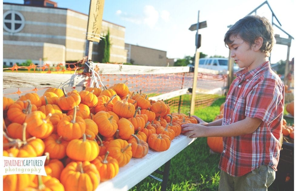 Picking Out Pumpkins | Blog - Jennifer Duke Photography