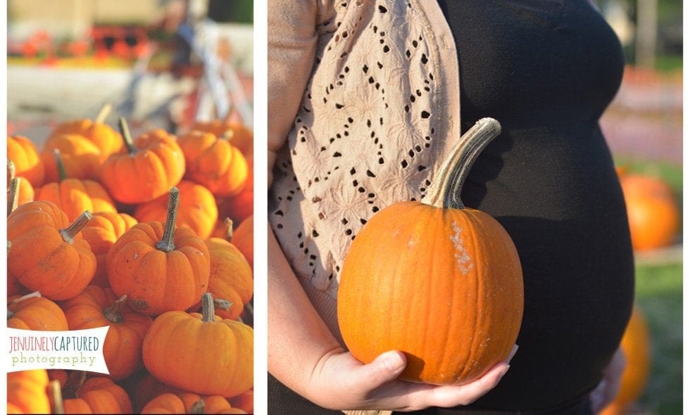 Picking Out Pumpkins | Blog - Jennifer Duke Photography