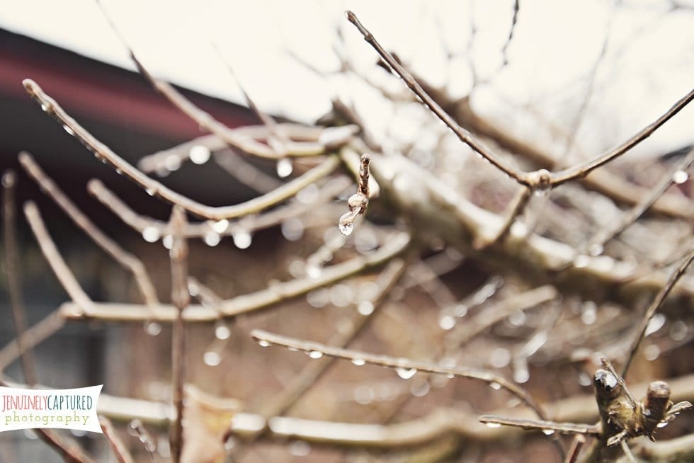 January Photos | Blog, Owen, Personal - Jennifer Duke Photography