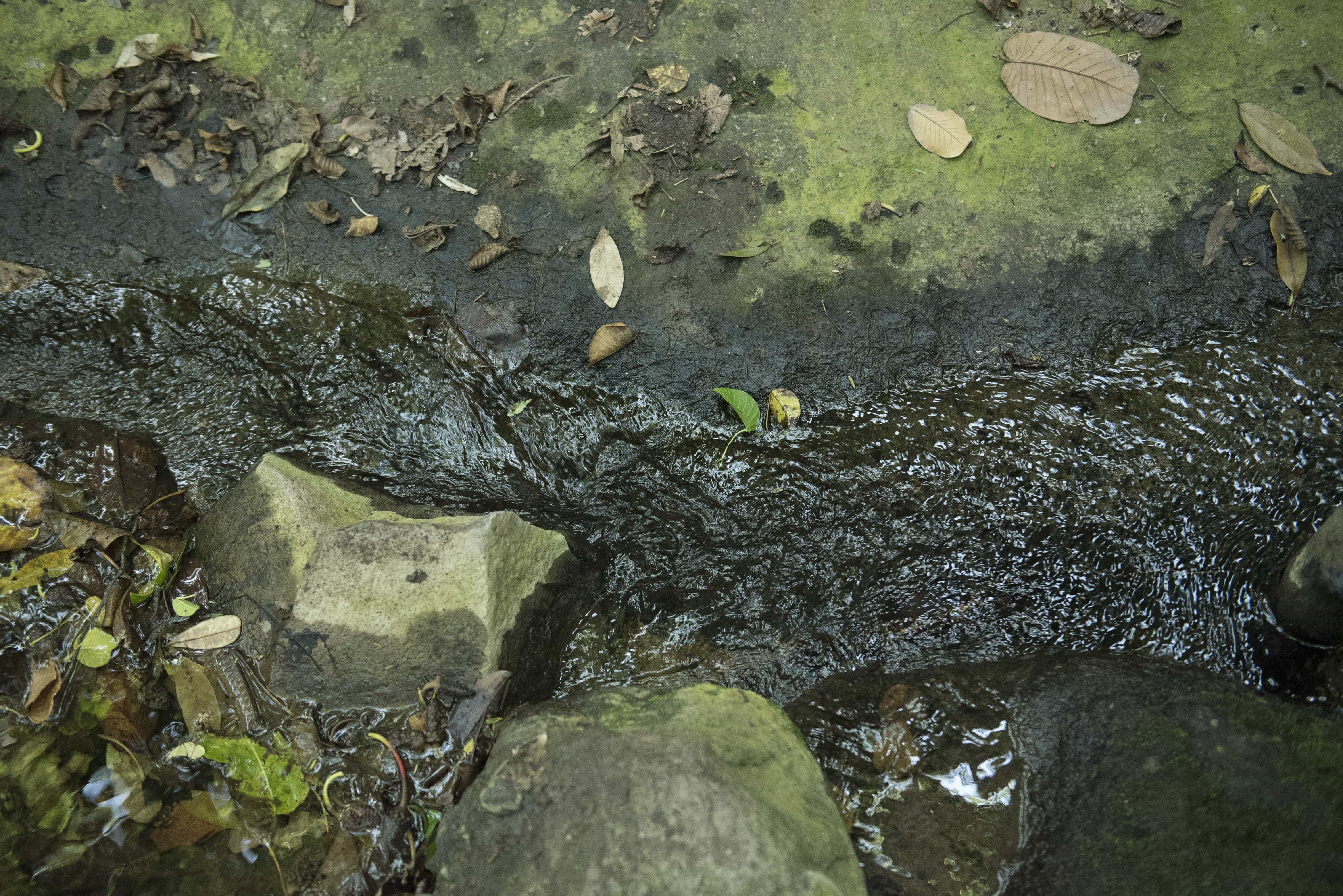 DSC_4850-1-1
