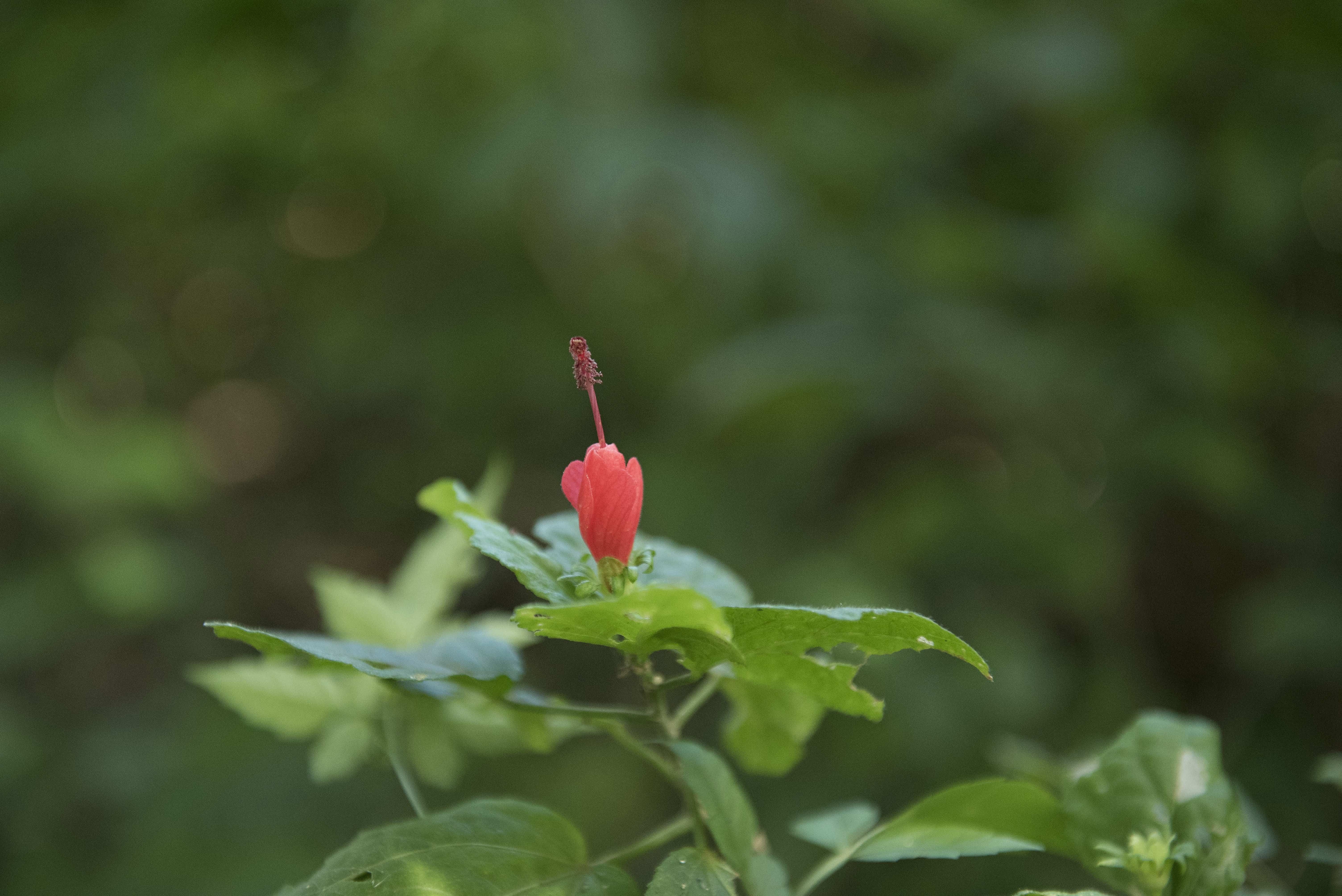 DSC_4878-1-1