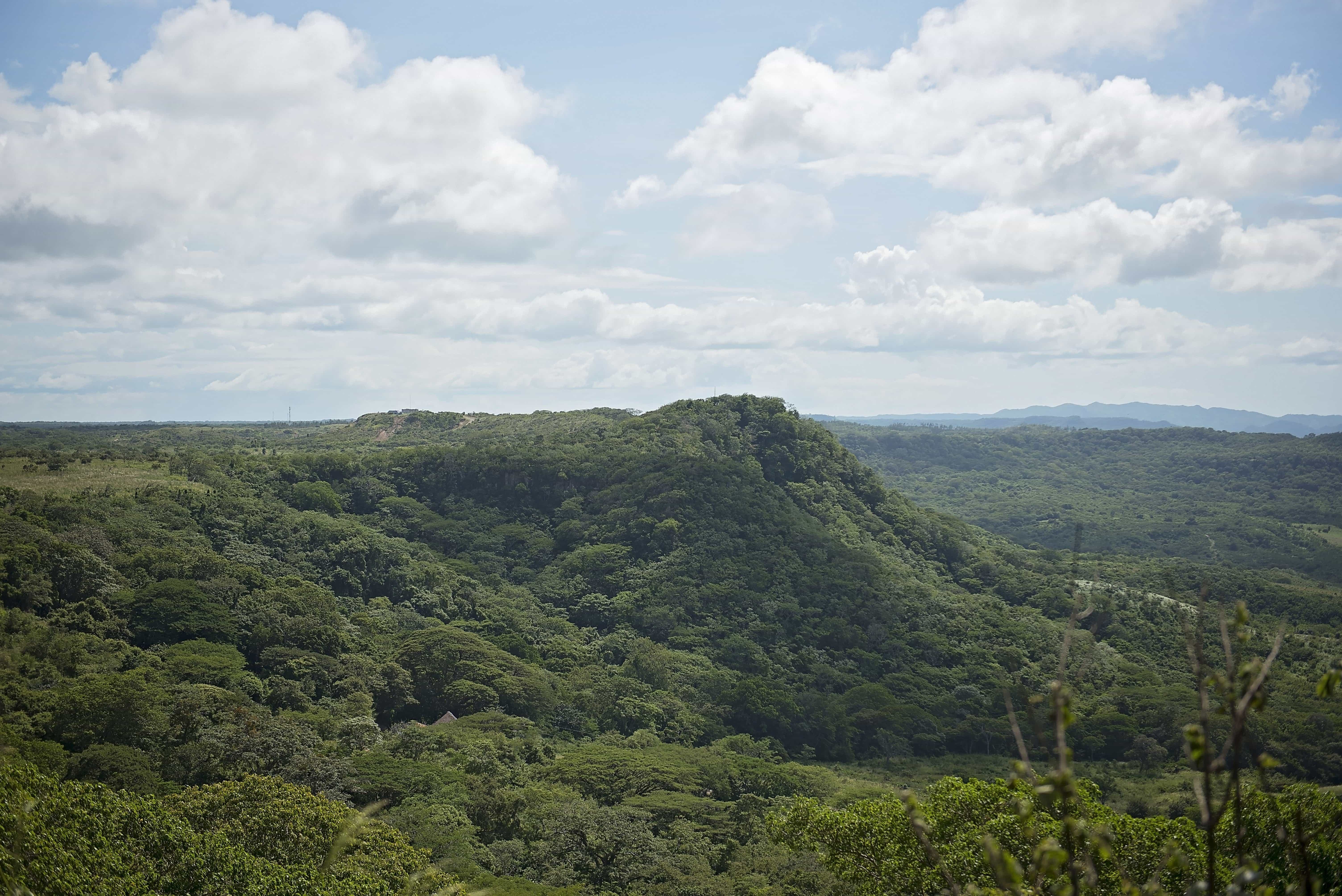 DSC_4970-1-1