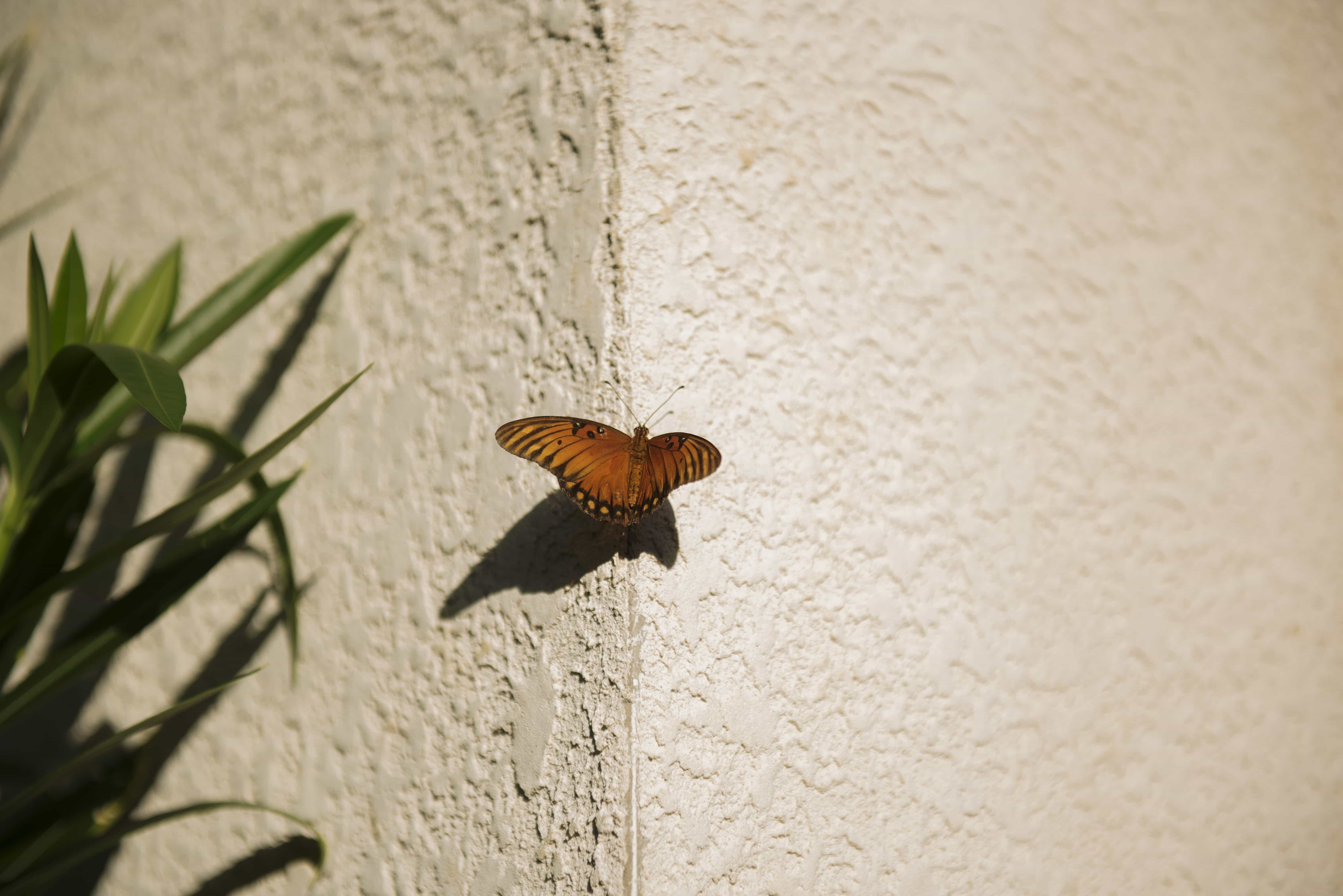 DSC_5008-1-1