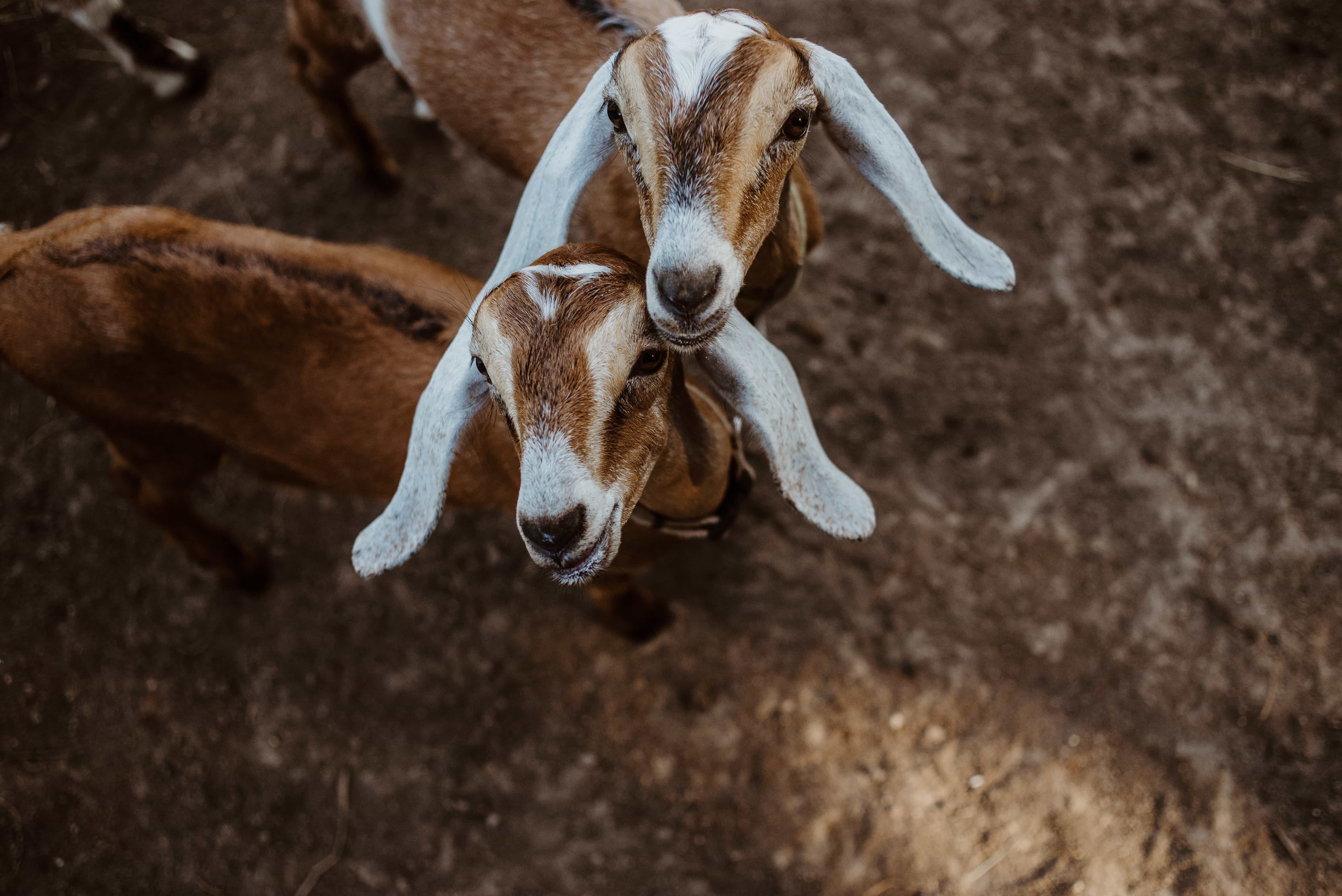 Bottles at Bearded Lady Soap Factory | Uncategorized - Jennifer Duke Photography Bottles at Bearded Lady Soap Factory | Uncategorized - Jennifer Duke Photography