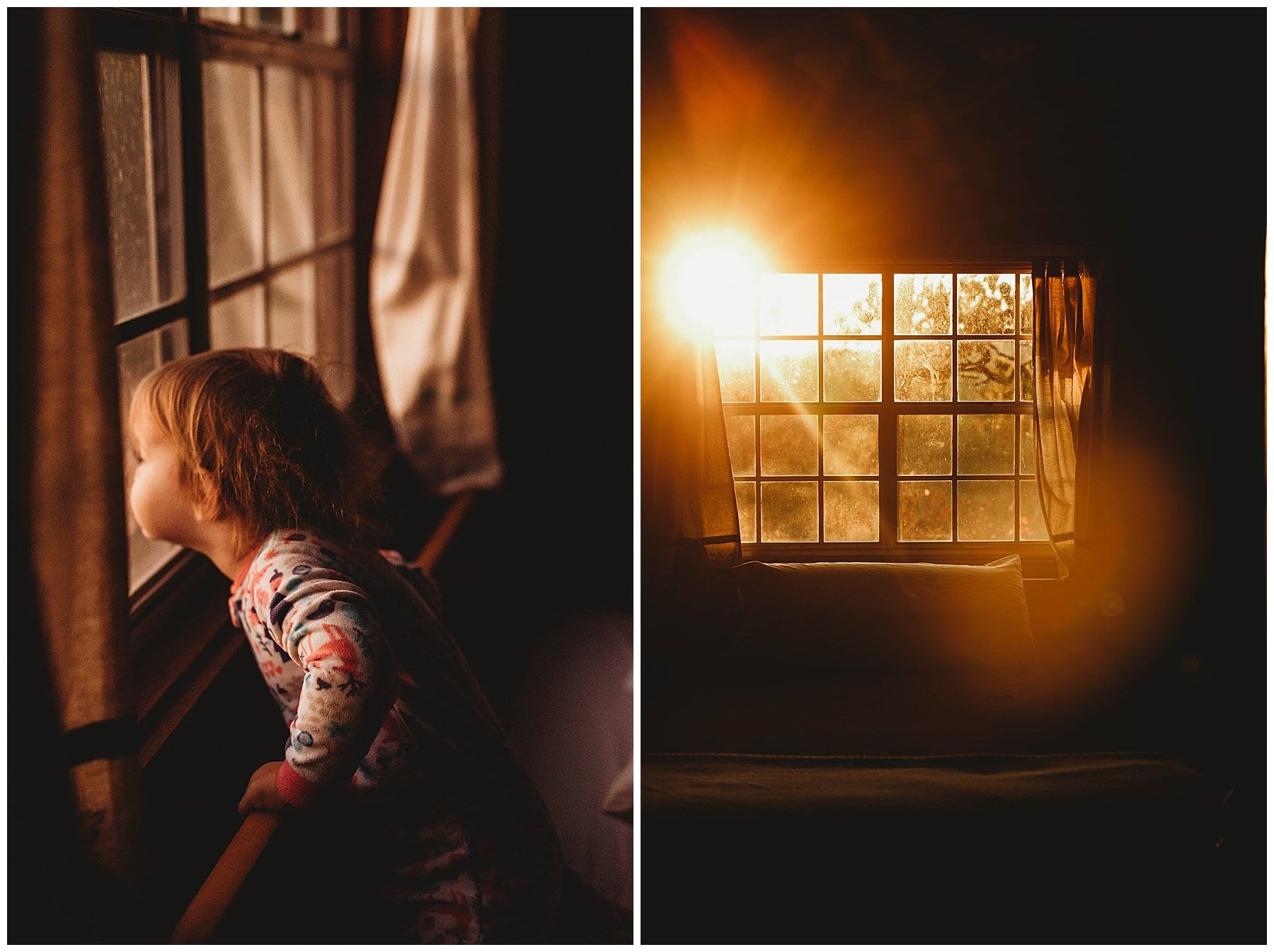 Bastrop State Park | Uncategorized - Jennifer Duke Photography