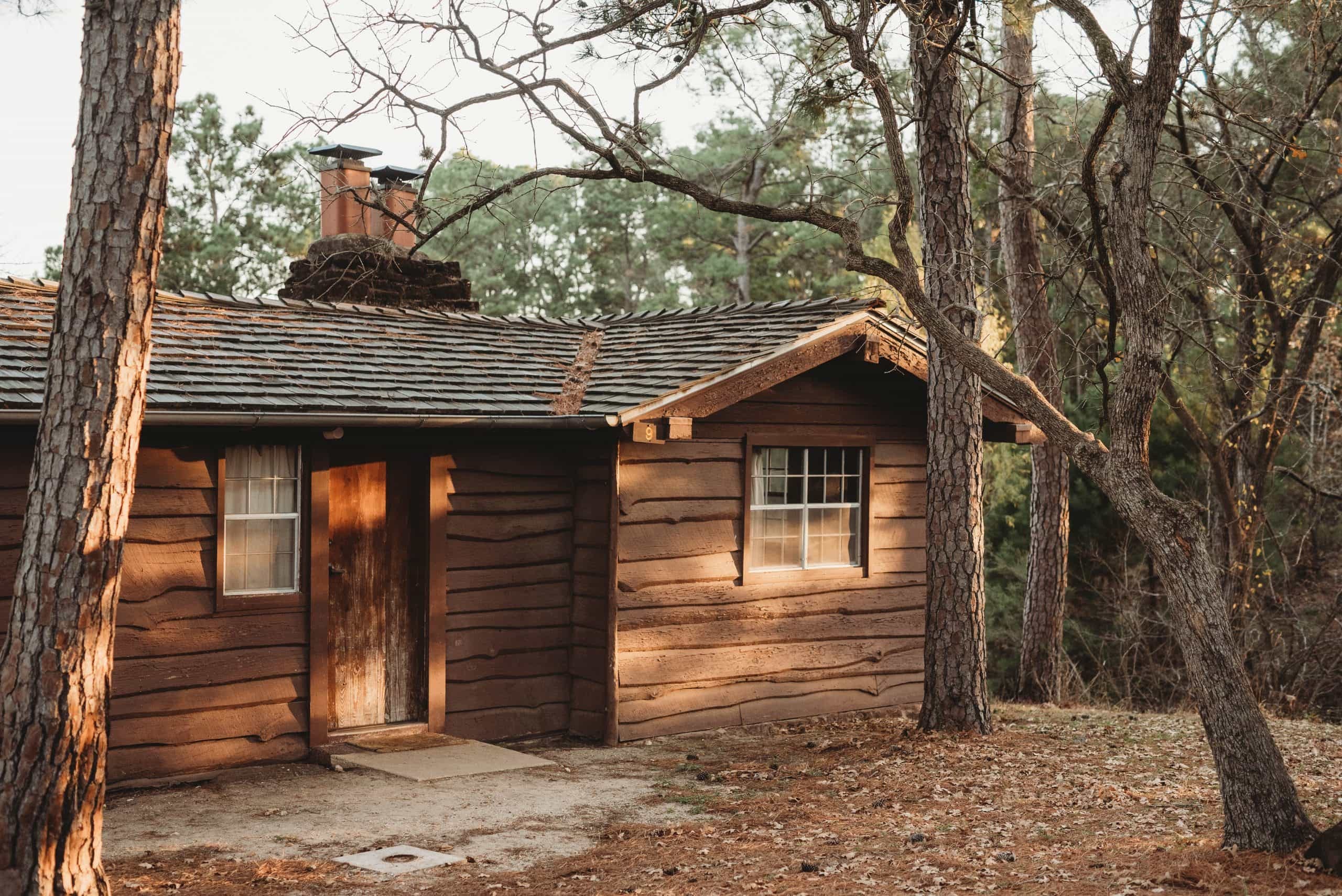 Bastrop State Park | Uncategorized - Jennifer Duke Photography