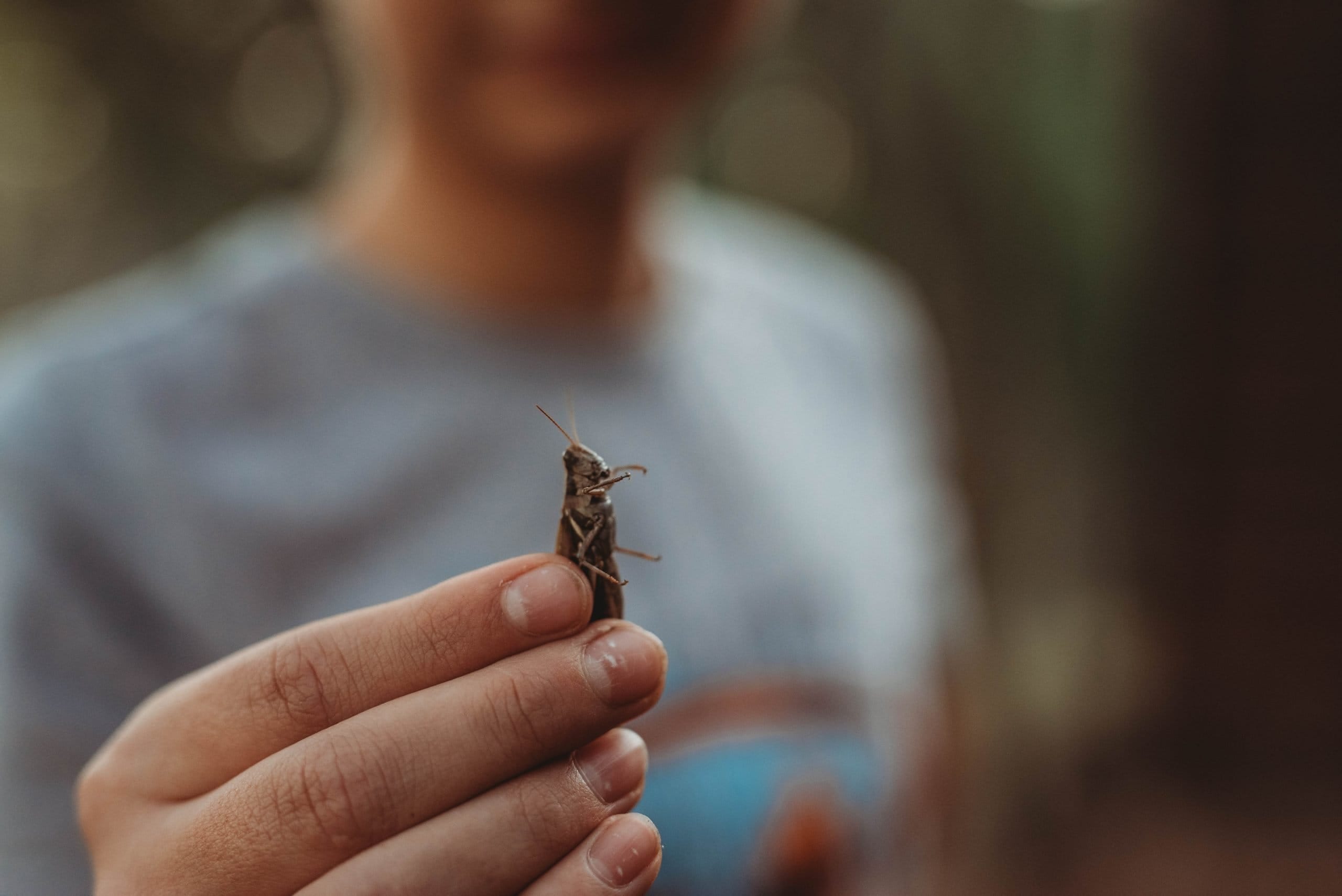 Bastrop State Park | Uncategorized - Jennifer Duke Photography