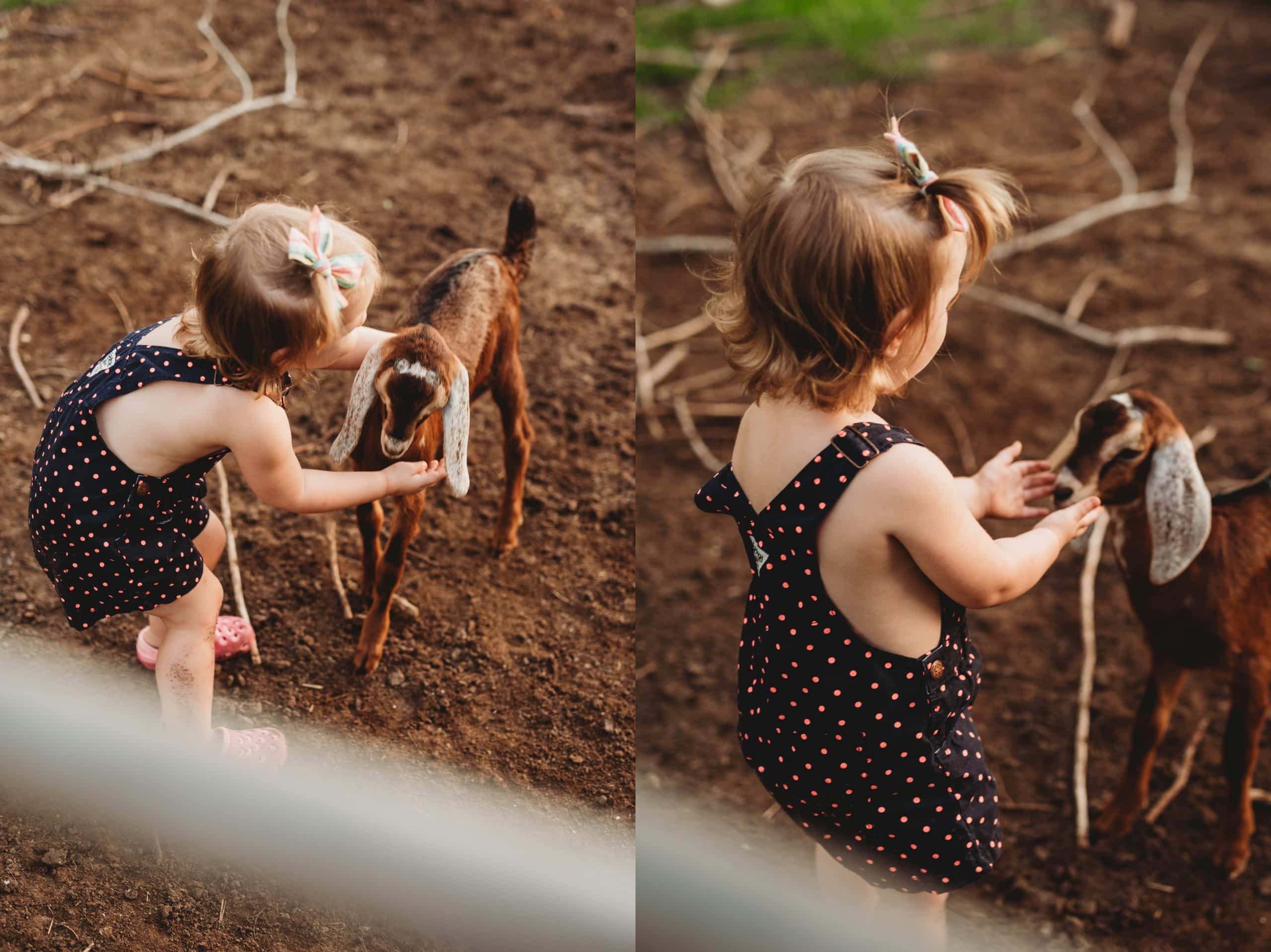 Babies and Puppies and Kiddies, Oh My! | Personal, The Farm - Jennifer Duke Photography