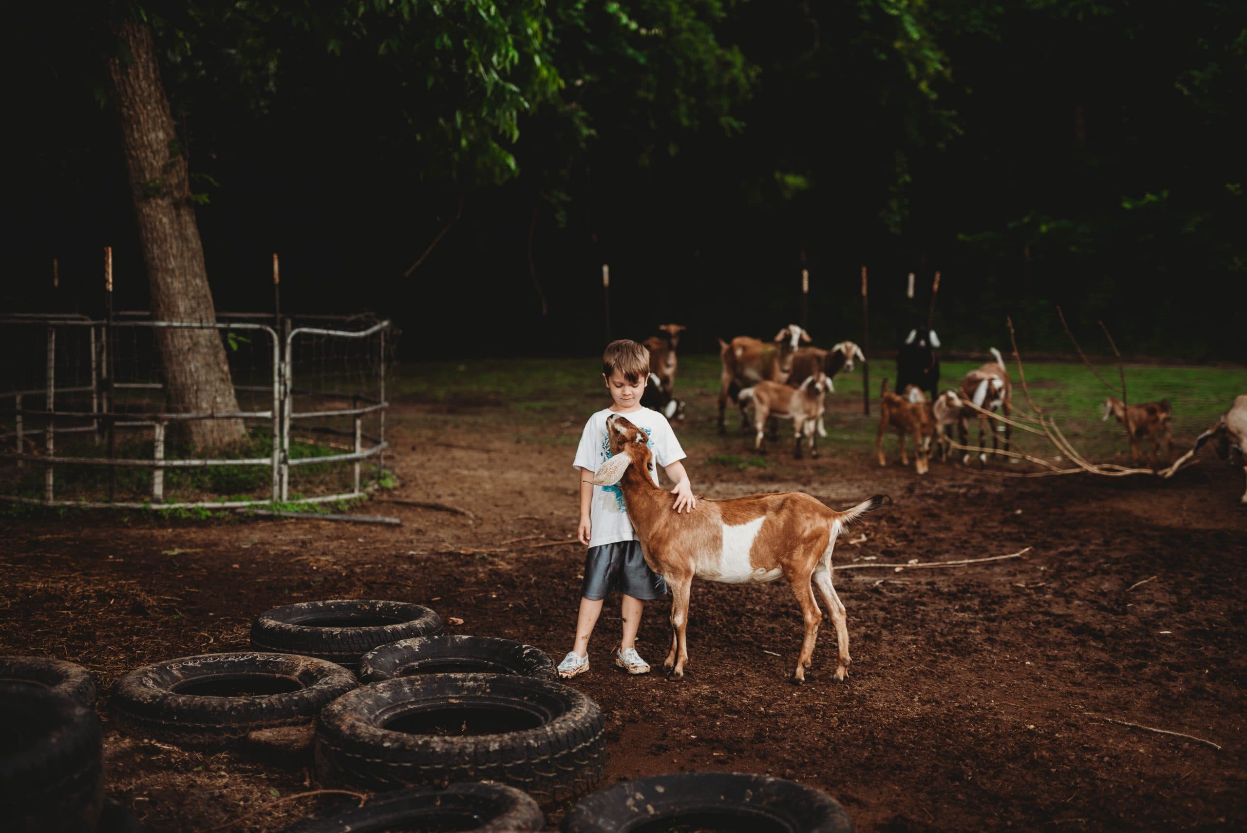 Babies and Puppies and Kiddies, Oh My! | Personal, The Farm - Jennifer Duke Photography