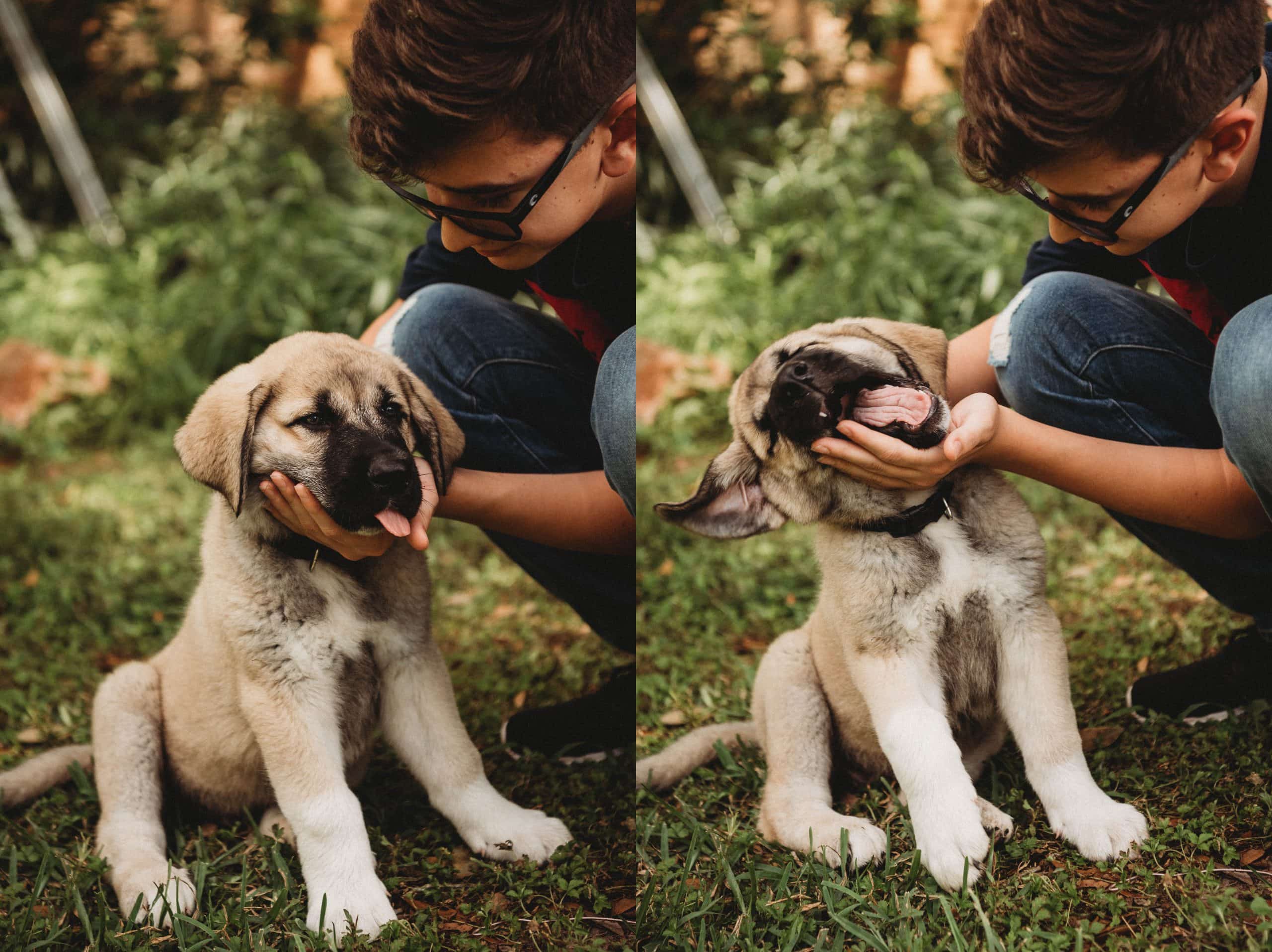 Babies and Puppies and Kiddies, Oh My! | Personal, The Farm - Jennifer Duke Photography
