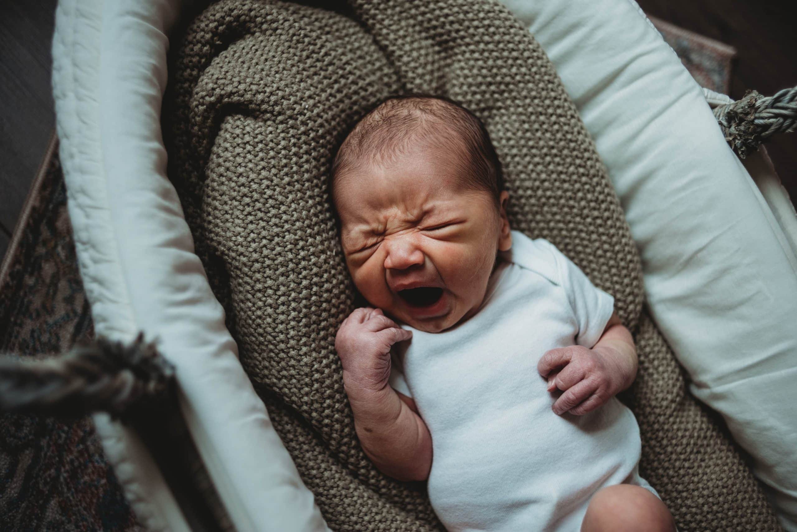 Welcoming Milo Pax | Babies, Maternity, Newborns - Jennifer Duke Photography