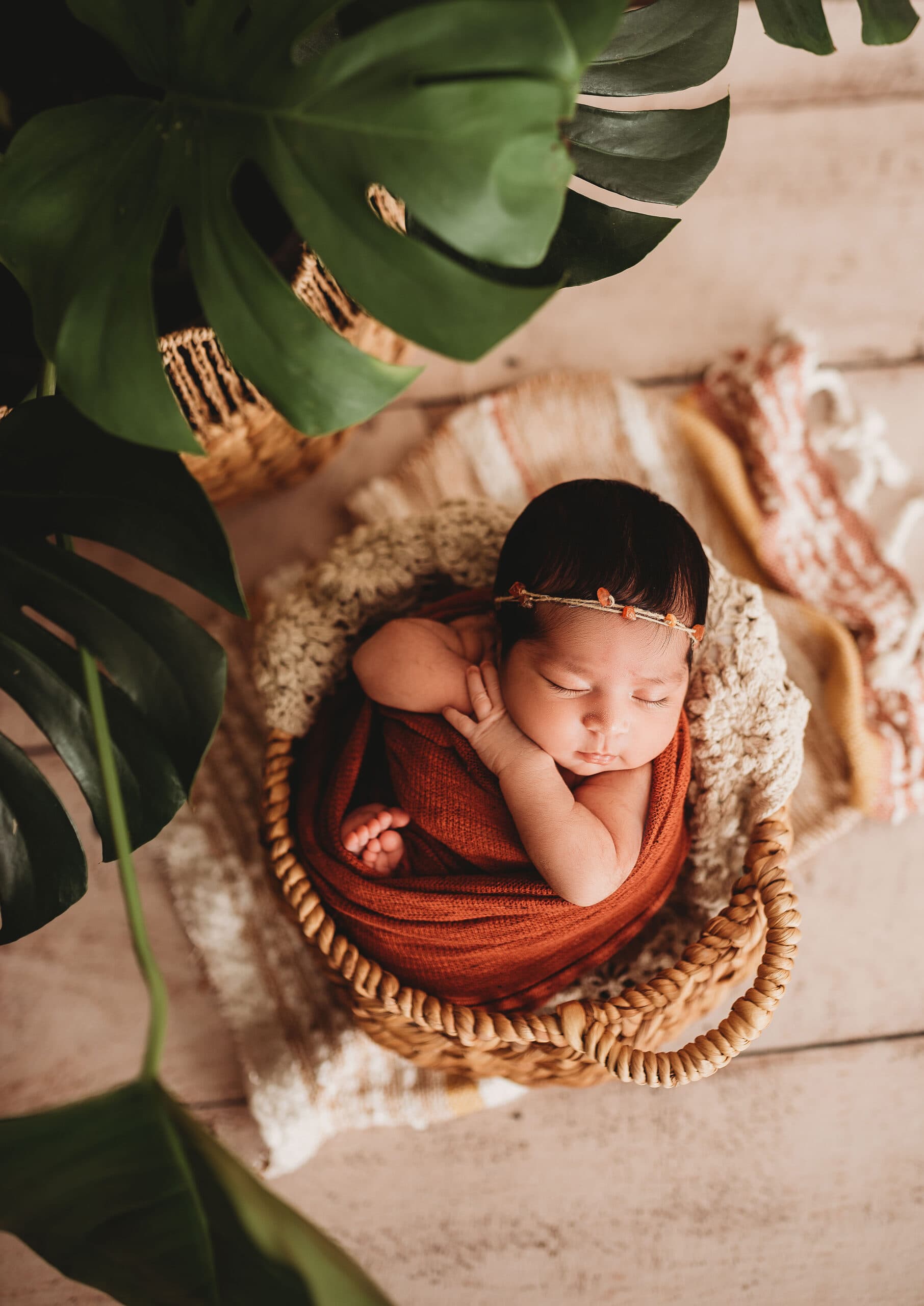Services | - Jennifer Duke Photography