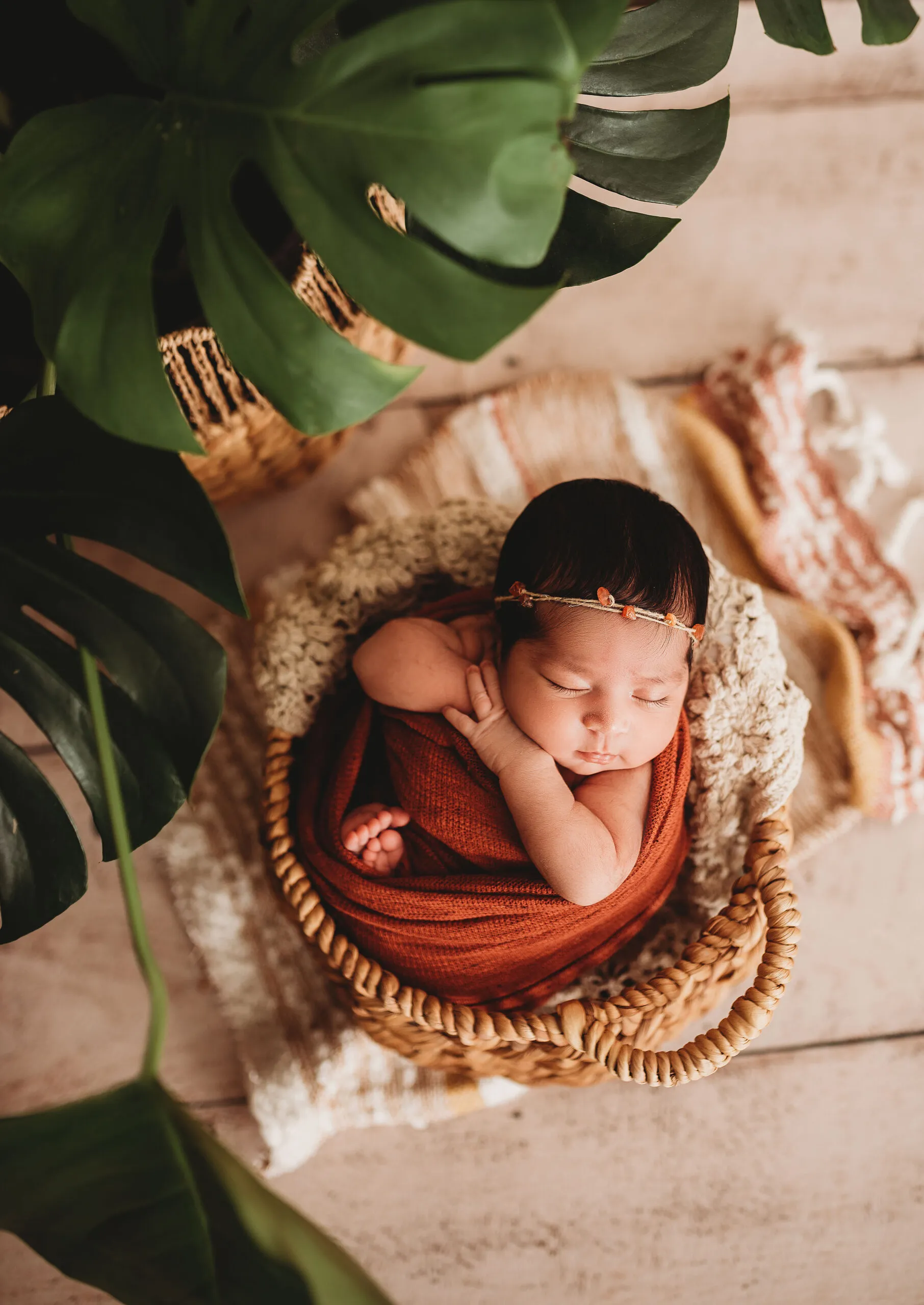 Services | - Jennifer Duke Photography